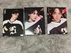 SEVENTEEN'S HOME 2025 トレカ　ディノ