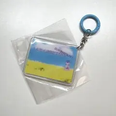 ずとまよ／コズ団／コズミックガチャ／カラーカラビナアクキー