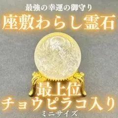 2026年最新】チョウピラコ様の人気アイテム - メルカリ