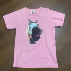 2026年最新】ハイロウズ Tシャツの人気アイテム - メルカリ