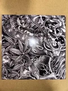 キズ　鳳凰　CD 会場限定品