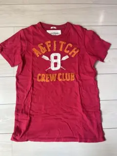 【⚠️訳あり】 Abercrombie & Fitch M Tシャツ