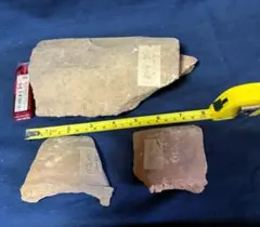 希少】アメリカ ワイオミング州 絶滅古代魚の良質化石 ⑧ 2個セット