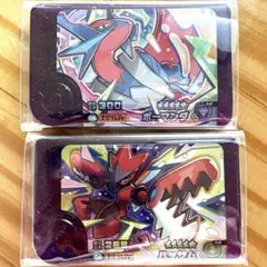 ポケモンフレンダ ボーマンダ ハッサム