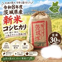 新米 令和8年産 茨城県産 コシヒカリ 玄米 30kg【引き取り限定・笠間市
