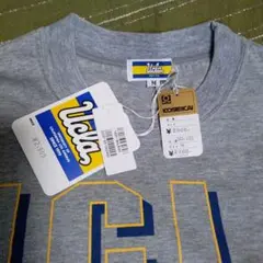 【新品】UCLA グレー Tシャツ Mサイズ