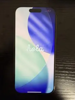 Apple iPhone 16 Pro 256G 値引交渉受け付けてます！！