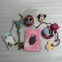 ディズニー　キーホルダー　ライト　クリップ　フォトケース　ディズニーリゾート
