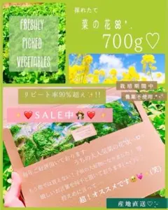 ❤️今だけ700g 999円!!菜の花箱パンパン!!栽培期間農薬不使用❤️