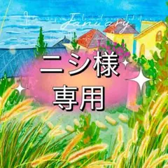 ニシ様専用　2連