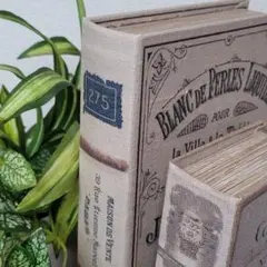 ２点　シークレットボックス　小物入れ　アクセサリーボックス