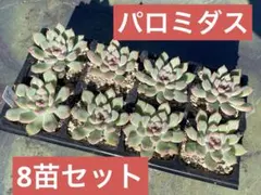 ゆった様 リクエスト 2点 まとめ商品