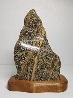 菊花石 2.9kg 菊紋石 花紋石 紋石 原石 鑑賞石 自然石 鉱物 鉱石 水石