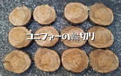 Item thumbnail for item e9b0323a-c50c-4f00-b37b-b68c90a6f1d8