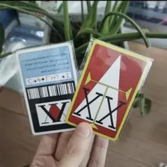 ハンターハンター HUNTER × HUNTER ライセンスカード 2枚セット