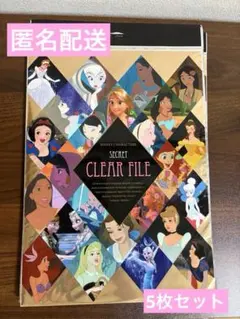 シークレット クリアファイル プリンセス ディズニー ストア　5枚セット