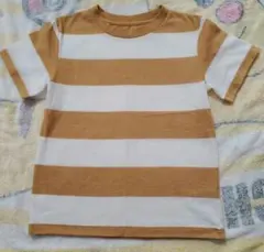茶色と白 ストライプ 半袖 Tシャツ　120