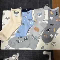 シュナウザー　ソックスB 靴下アソート5足セット