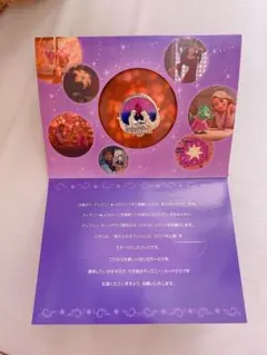 JCBカード 限定 ラプンツェル ピンバッジ 2025