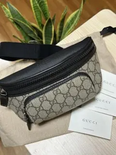 2025年最新】GUCCI ボディバッグ・ウエストポーチの人気アイテム