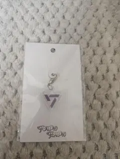 SEVENTEEN exhibition キーリング　デコパーツ　ウォヌ