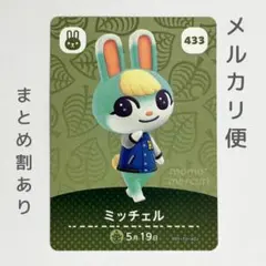 2026年最新】Amiiboカード ミッチェルの人気アイテム - メルカリ