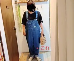 オーバーオール　しまむら　大きいサイズ　今日のあべ