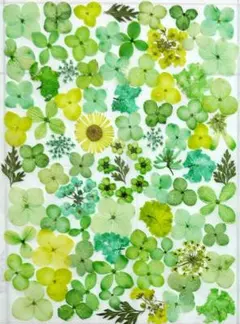 Item thumbnail for item 859ead30-b6e5-4124-83be-324b36ddc698