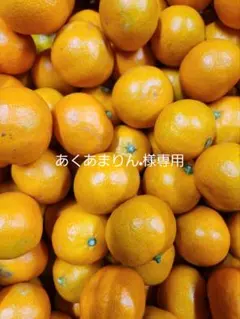 あくあまりん.様専用ページです