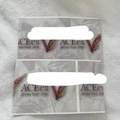 ACEes "V" 有明アリーナ 半券 2枚セット 7/12昼夜