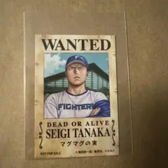 ファイターズ　ワンピースコラボ　 手配書　田中正義選手　ONE PIECE