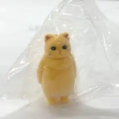 虚無。猫 纏(まとい) 黄猫