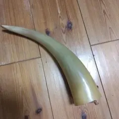 Item thumbnail for item 6fcde485-8f7d-445d-9129-4dd61ec924e4