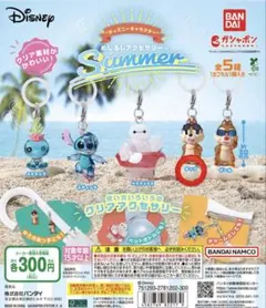 ディズニーサマー めじるしアクセサリー チップ