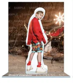 岩田剛典　アクリルスタンド