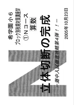 岡田了一郎先生】駿台『通期 地理 オリジナルプリント』 73枚 MSクラス