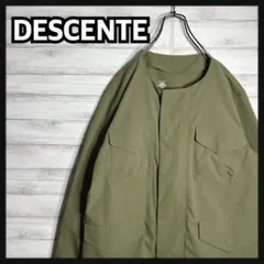 入手困難!!】DESCENTE ddd ジャケット 中綿 ダウン インナー - メルカリ
