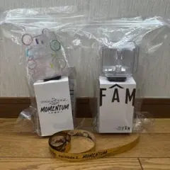 timelesz ペンライト2本セット FAM MOMENTUM 銀テ付き