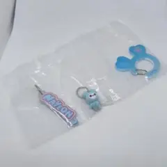 TWICE LOVELYS アクリルカラビナフロッキーマスコット ナヨン