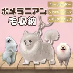2個セット　キーホルダー 毛玉入れ 遺毛 ポメラニアン 愛犬 記念 けだまだま