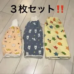 Item thumbnail for item 69f5f0d2-51da-42e6-b940-aeafdf55cf98