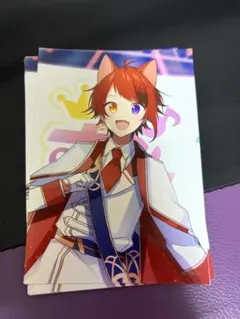 M*m様 すとぷり 莉犬くん ブロマイド 11枚セット