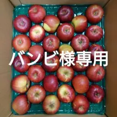 【バンビ様専用】