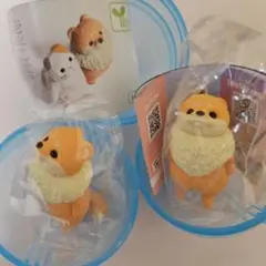 虚無。 宙　ポメラニアン2個