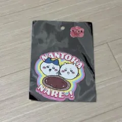 치이카와 映画 人魚の島のひみつ 大きめステッカー NANTOKA NAREー！