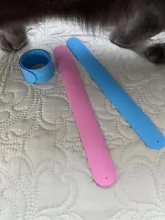 Item thumbnail for item 619b92e2-3d54-4e1e-909a-01ebab243524