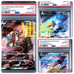 welcome! エンテイv スイクンv ライコウv PSA10 連番