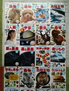 ハッピーセット 小学館の図鑑NEO