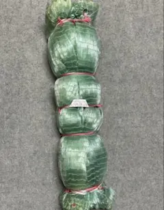 テグス 漁業 大型魚 ハンドメイド 釣り糸 ライン - メルカリ