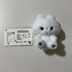 2025年最新】グループ名：SEVENTEEN ぬいぐるみ・マスコットの人気